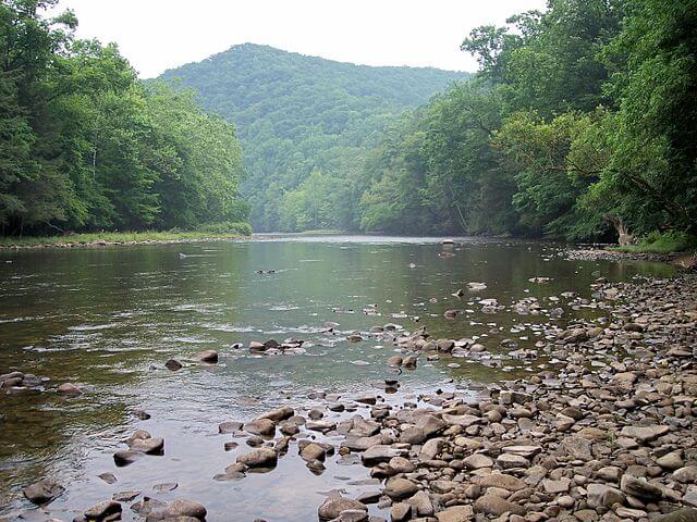 Monongahela National Forest